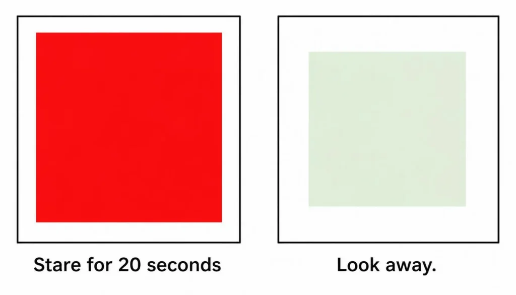 Complementary Colors: The Complete Guide (+Tool) 3 Afterimage effect illustrating the opponent-process theory of red and green color vision